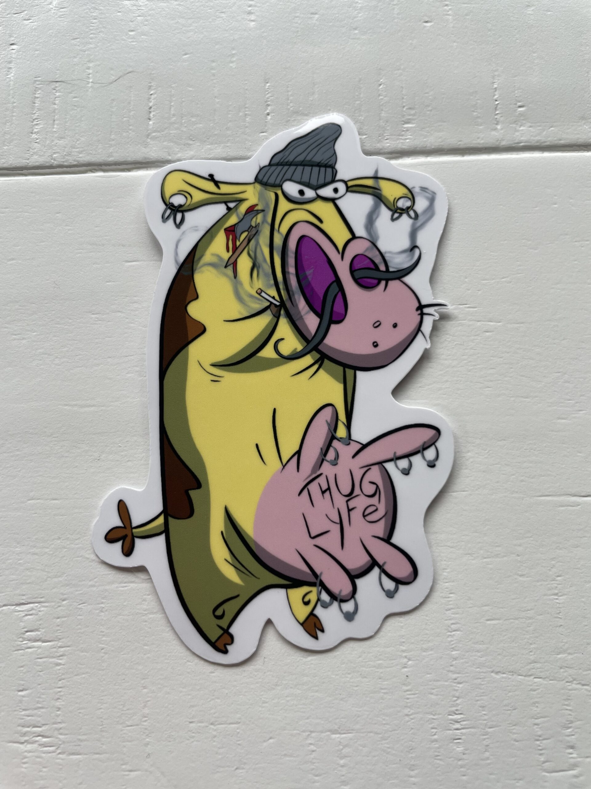 Photo May 21 2025, 10 30 47 AM